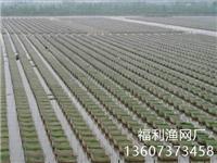 养殖网箱