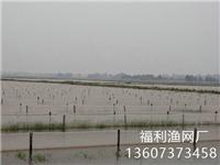 水蛭养殖网