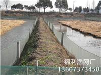 泥鳅养殖网
