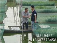 泥鳅网箱